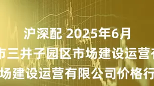 沪深配 2025年6月29日扶余市三井子园区市场建设运营有限公司价格行情