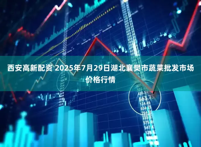 西安高新配资 2025年7月29日湖北襄樊市蔬菜批发市场价格行情